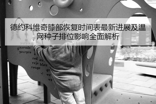 德约科维奇膝部恢复时间表最新进展及温网种子排位影响全面解析