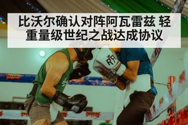 比沃尔确认对阵阿瓦雷兹 轻重量级世纪之战达成协议