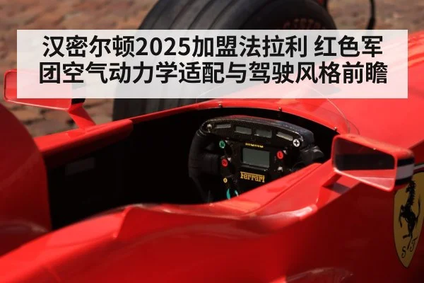 F1 driver cockpit