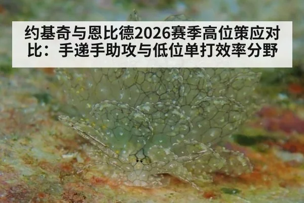 约基奇与恩比德2026赛季高位策应对比:手递手助攻与低位单打效率分野