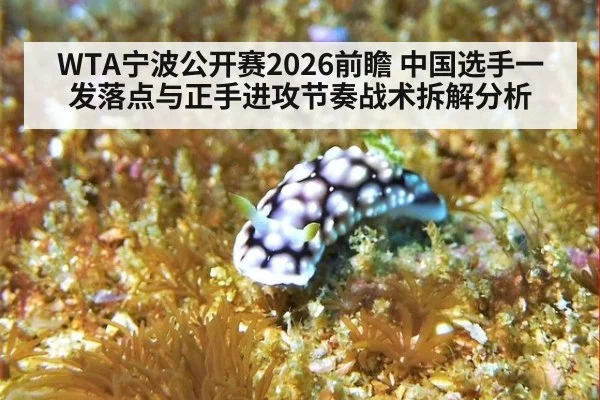 WTA宁波公开赛2026前瞻 中国选手一发落点与正手进攻节奏战术拆解分析